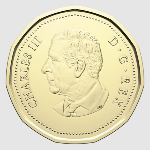 NEW🇨🇦2026 Lucky Loonie Keychains Royal Canadian Mint Olympic Lucky Charm - Picture 12 of 13